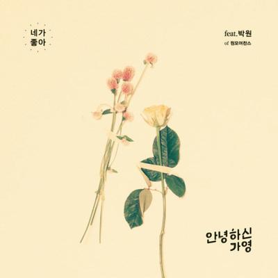 네가 좋아 (feat. 박원) By PARK WON, 안녕하신가영's cover