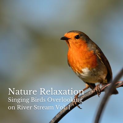 Nature Relaxation: Singing Birds Overlooking on River Stream Vol. 1's cover