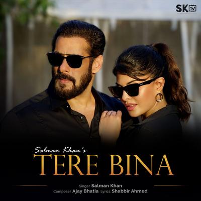 Tere Bina's cover