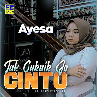Tak Cukuik Jo Cinto's cover