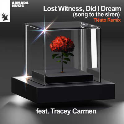 Did I Dream (Song To The Siren) (Tiësto Remix) By Lost Witness, Tracey Carmen's cover
