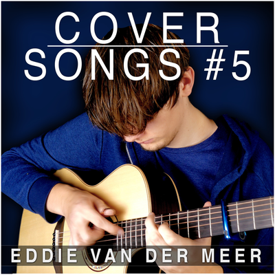 The Last of Us Theme By Eddie van der Meer's cover