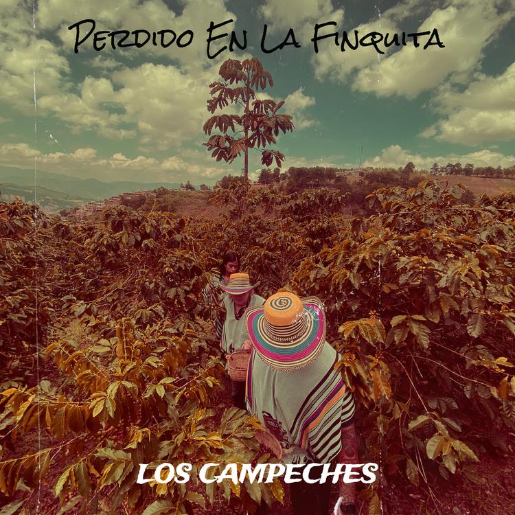 Los Campeches's avatar image