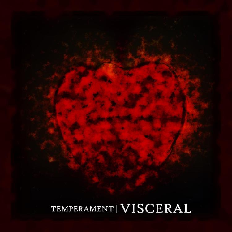 Temperament's avatar image