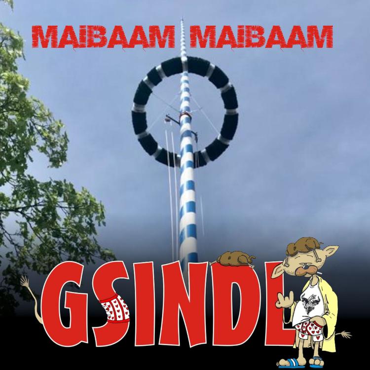 Gsindl's avatar image