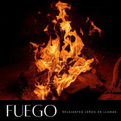 Calmo FX De Fuego's cover