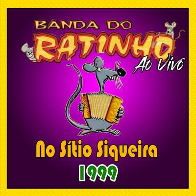 NO SÍTIO SIQUEIRA AO VIVO - 1999's cover