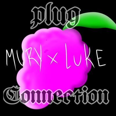 Plug Connection's cover