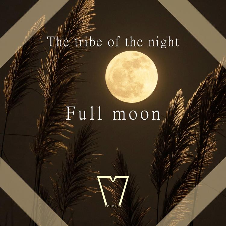 The Tribe of the Night's avatar image