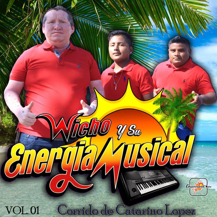 Wicho Y Su Energía Musical's avatar image