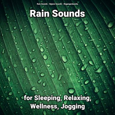 Rain Sounds for Sleeping and Relaxing Pt. 40 By Rain Sounds, Nature Sounds, Regengeräusche's cover