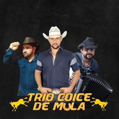 Trio coice de mula's cover