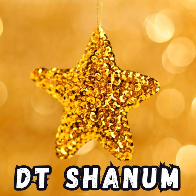 DT Shanum's avatar image