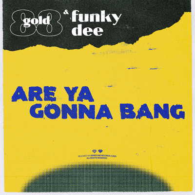 Are Ya Gonna Bang By Gold 88, Funky Dee's cover