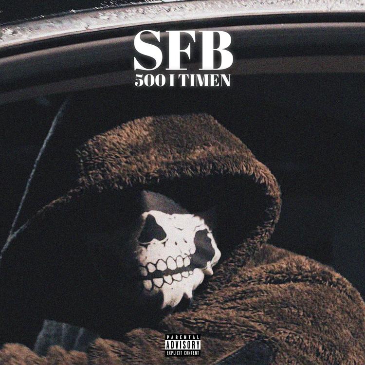 SFB's avatar image