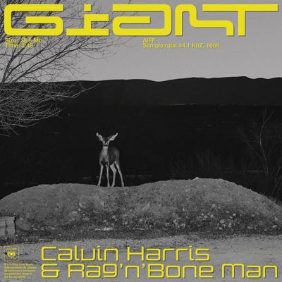 Giant By Calvin Harris, Rag'n'Bone Man's cover