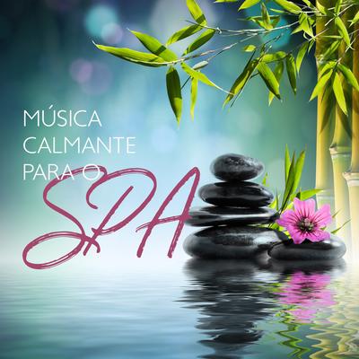 Música para Spa By Relaxantes Natureza Zona's cover