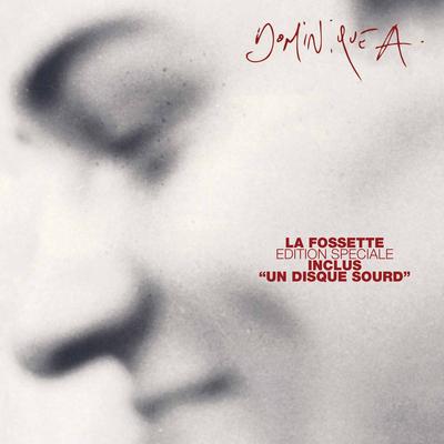 Le courage des oiseaux (Un disque sourd) By Dominique A's cover