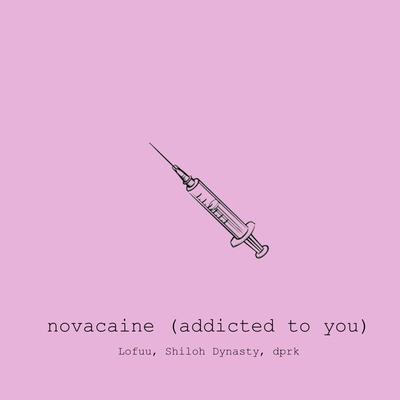 novacaine (addicted to you) By Lofuu, Shiloh Dynasty, dprk's cover