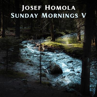 Sunday Mornings V's cover