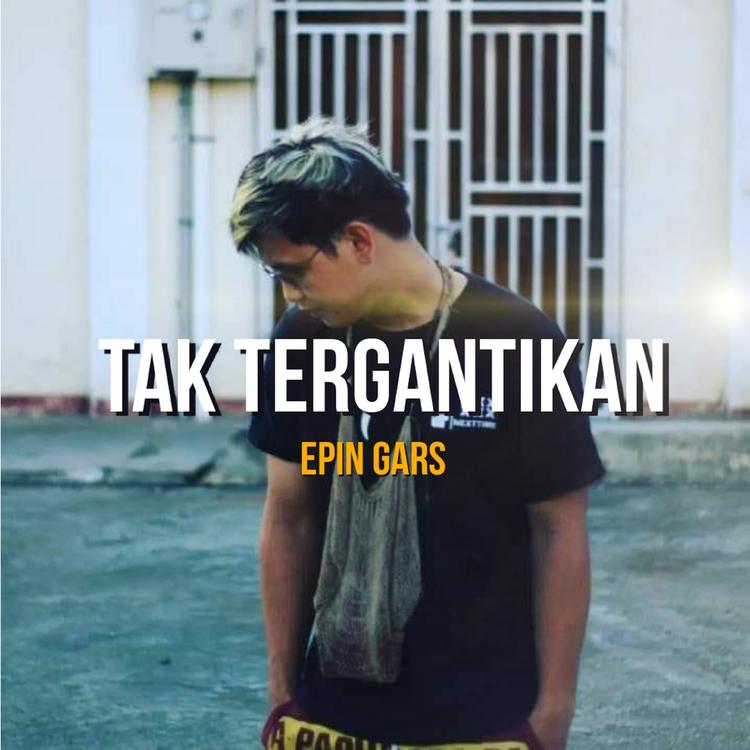 Epin Gars's avatar image