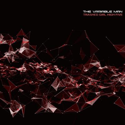 The Variable Man's cover