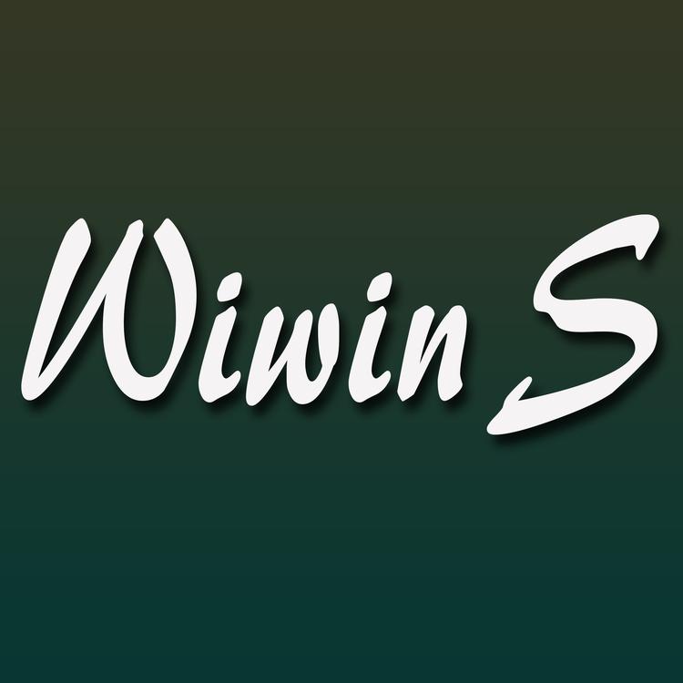 Wiwin S's avatar image