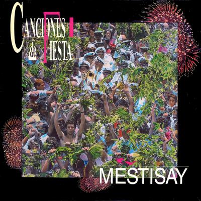 Mestisay's cover