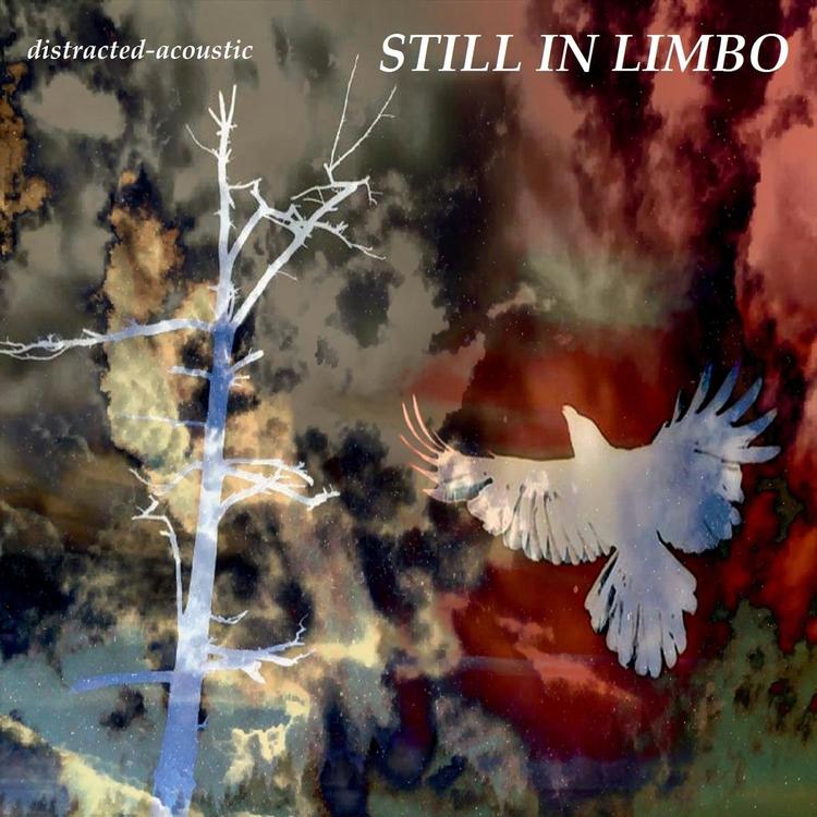 Still in Limbo's avatar image