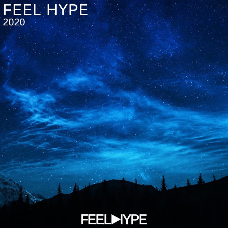 Feel Hype's avatar image