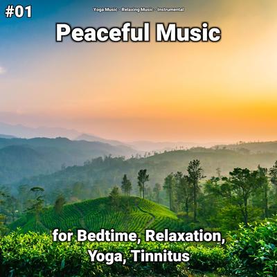 #01 Peaceful Music for Bedtime, Relaxation, Yoga, Tinnitus's cover