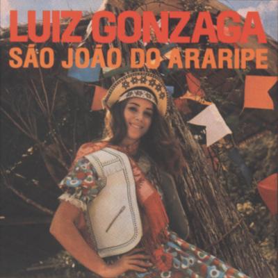 O Andarilho By Luiz Gonzaga's cover