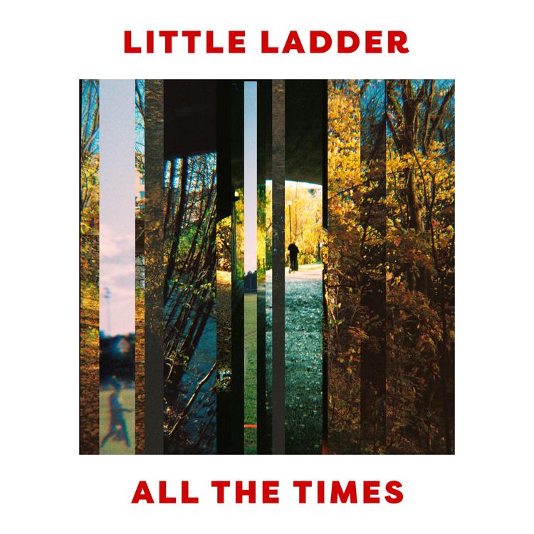 Little Ladder's avatar image
