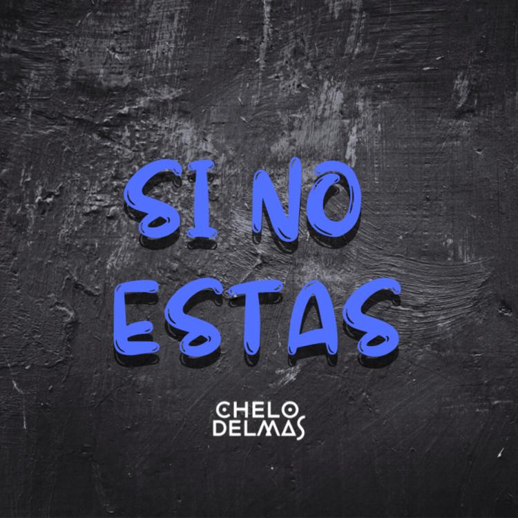 Chelo Delmas's avatar image