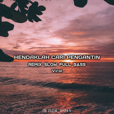 Dj Hendaklah Cari Pengganti Remix Viral Tik Tok's cover