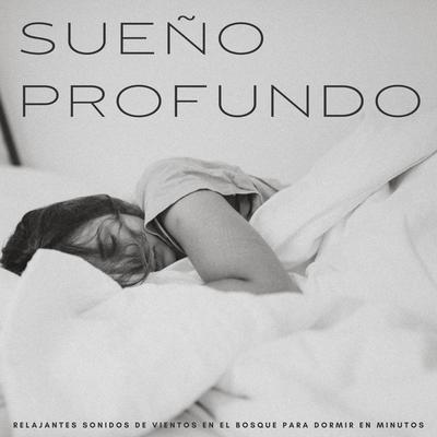 Cómo Montaña By Dormir Profundamente en Minutos, Paz Interior, Musica para Dormir Radio's cover