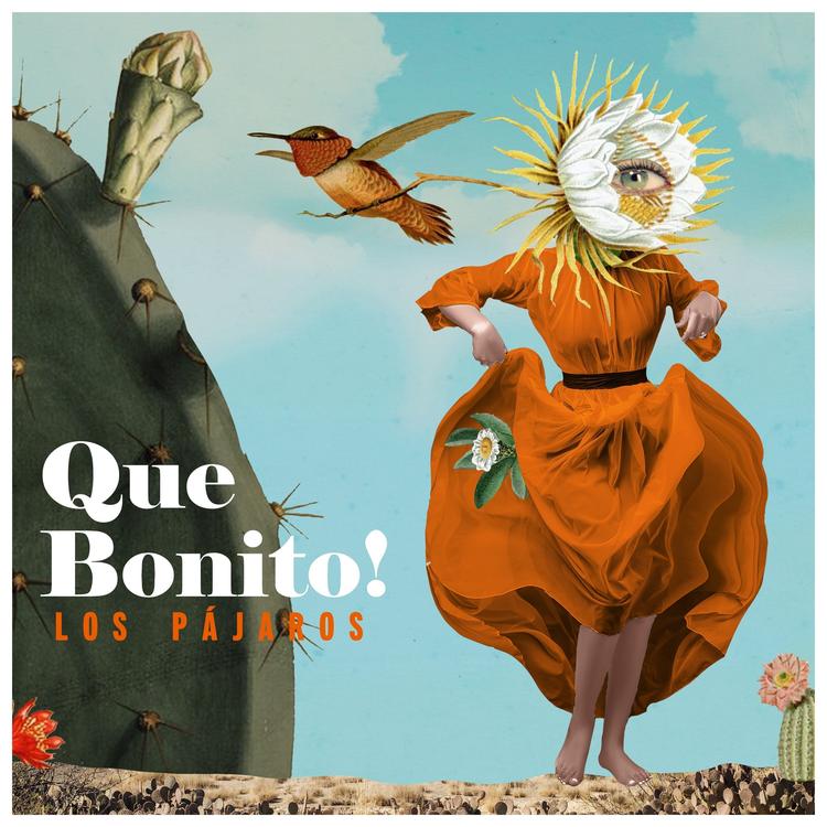 Los Pajaros's avatar image