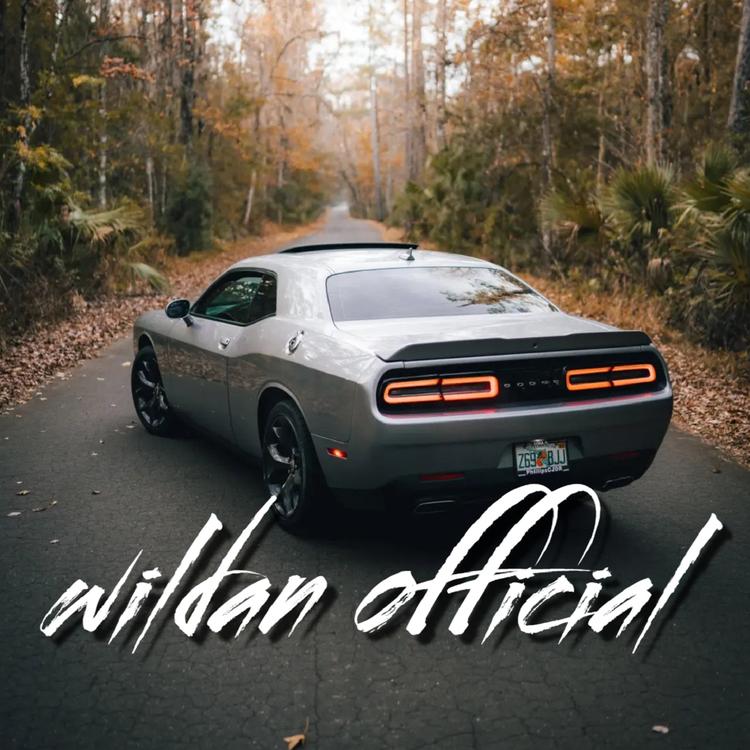 wildan official's avatar image