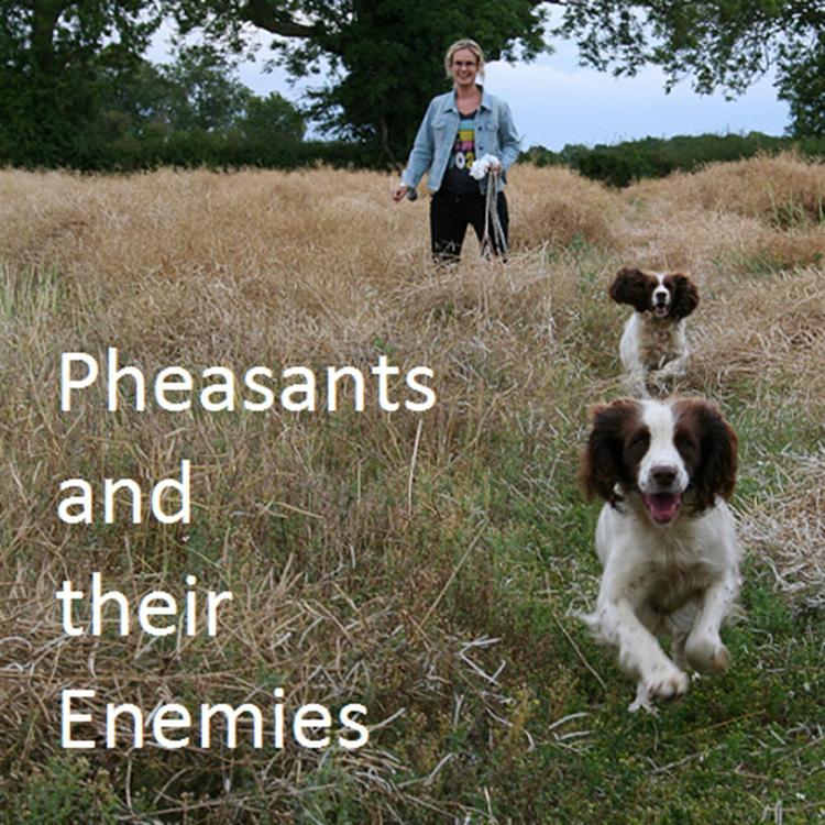 Pheasants and Their Enemies's avatar image