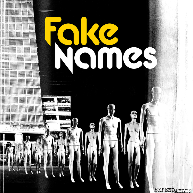 Fake Names's avatar image