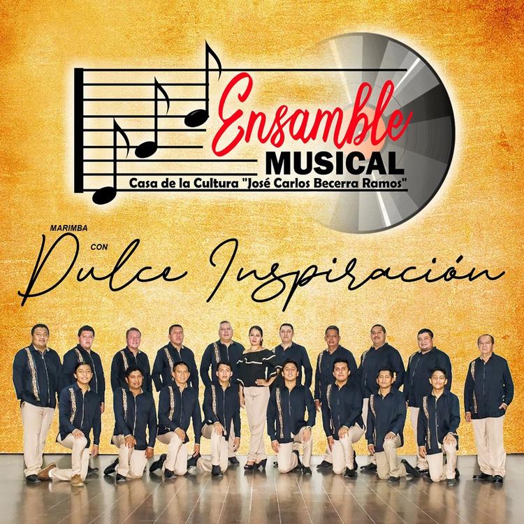 Ensamble Musical's avatar image