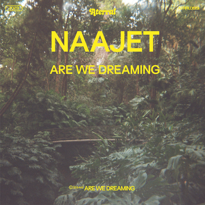 Are We Dreaming By Naajet's cover