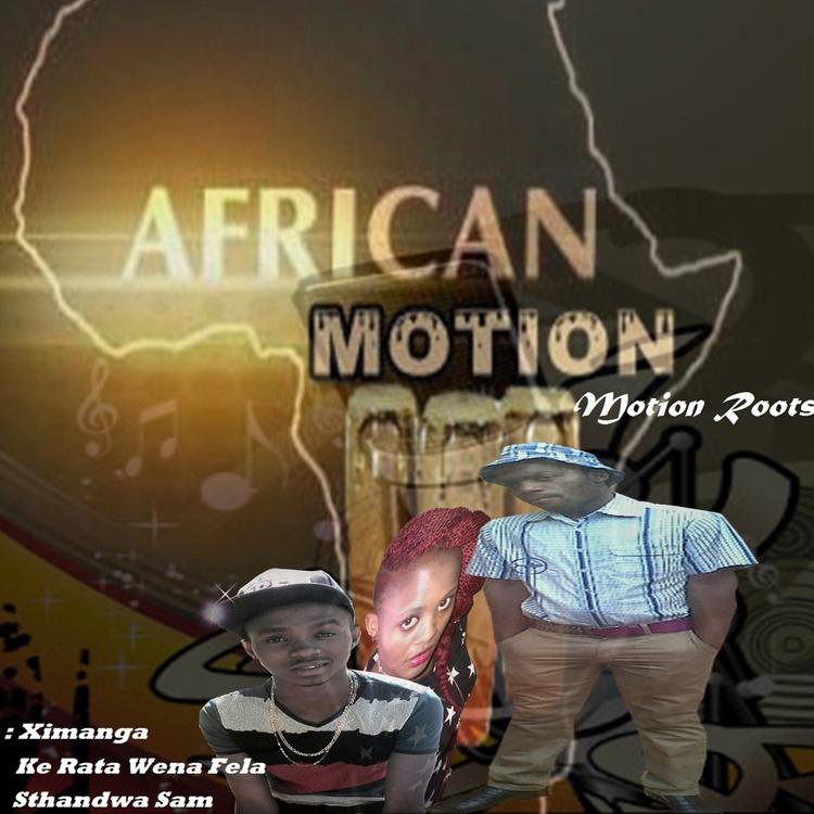 African Motion's avatar image