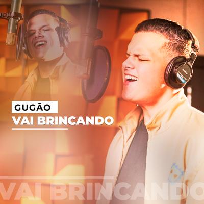 Vai Brincando's cover