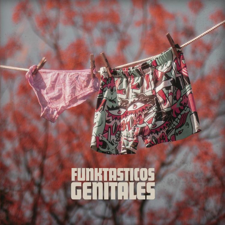 Los Funktasticos Genitales's avatar image