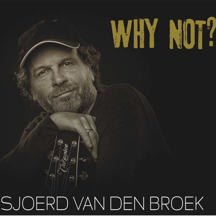 Sjoerd van den Broek's avatar image