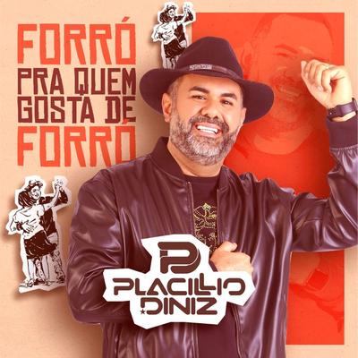 Vidro Fumê (Cover) By Placillio Diniz's cover