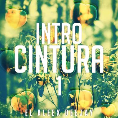 Intro Cintura By El Aleex Deejay's cover
