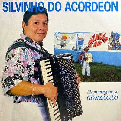Silvinho Do Acordeon's cover