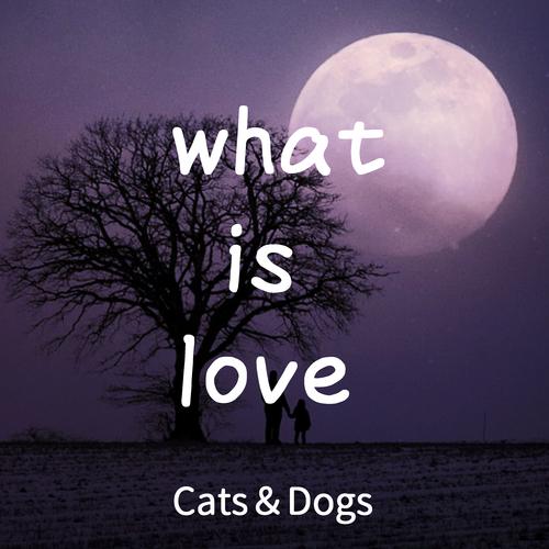 Cats&Dogs's avatar image